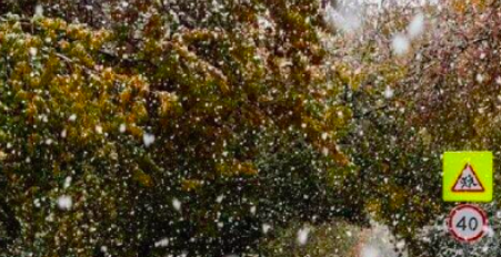 Фото Снежные хлопья окутали Новосибирск 3 октября. ОНЛАЙН с улиц города 2